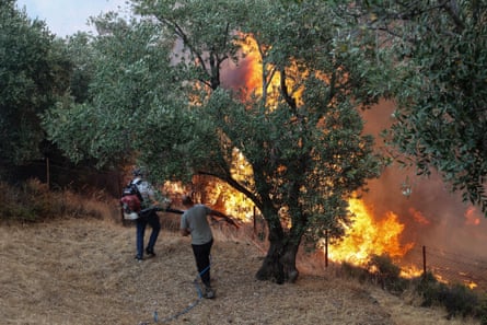 People try to extinguish a fire in the town of Plomari on the Greek island of Lesbos on Wednesday.Photograph: Manolis Lagoutaris/AFP/Getty Images