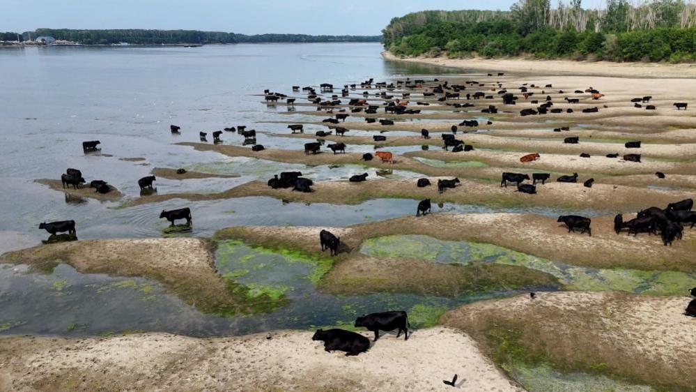 Image caption,River flow in Serbia on the Danube is now a third of the average for July