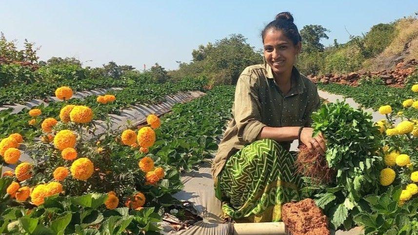 Image caption,Farming strawberries can be a "huge gamble" says Sheetal Danavle