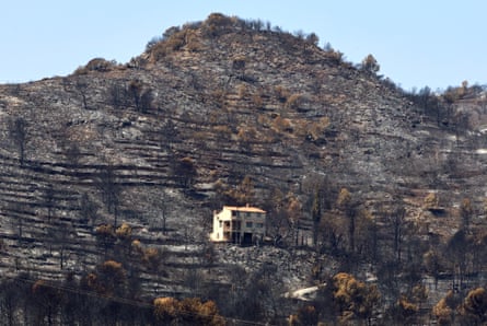 A scorched landscape near Vila Vella, in Spain’s València province.Photograph: Damian Torres/AP