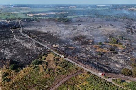 Woodland burnt by the wildfire on Dunwich Heath.Photograph: Jack Taylor/Reuters