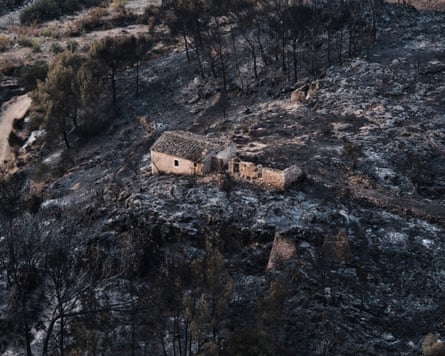 The aftermath of the wildfire in Bédar. Thirteen people died when the fire tore through the village.Photograph: Gregorio Marrero/AP