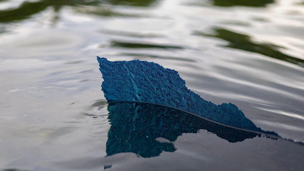 Image caption,A piece of the new blue paint could be seen peeling off the bottom of the pool on Thursday