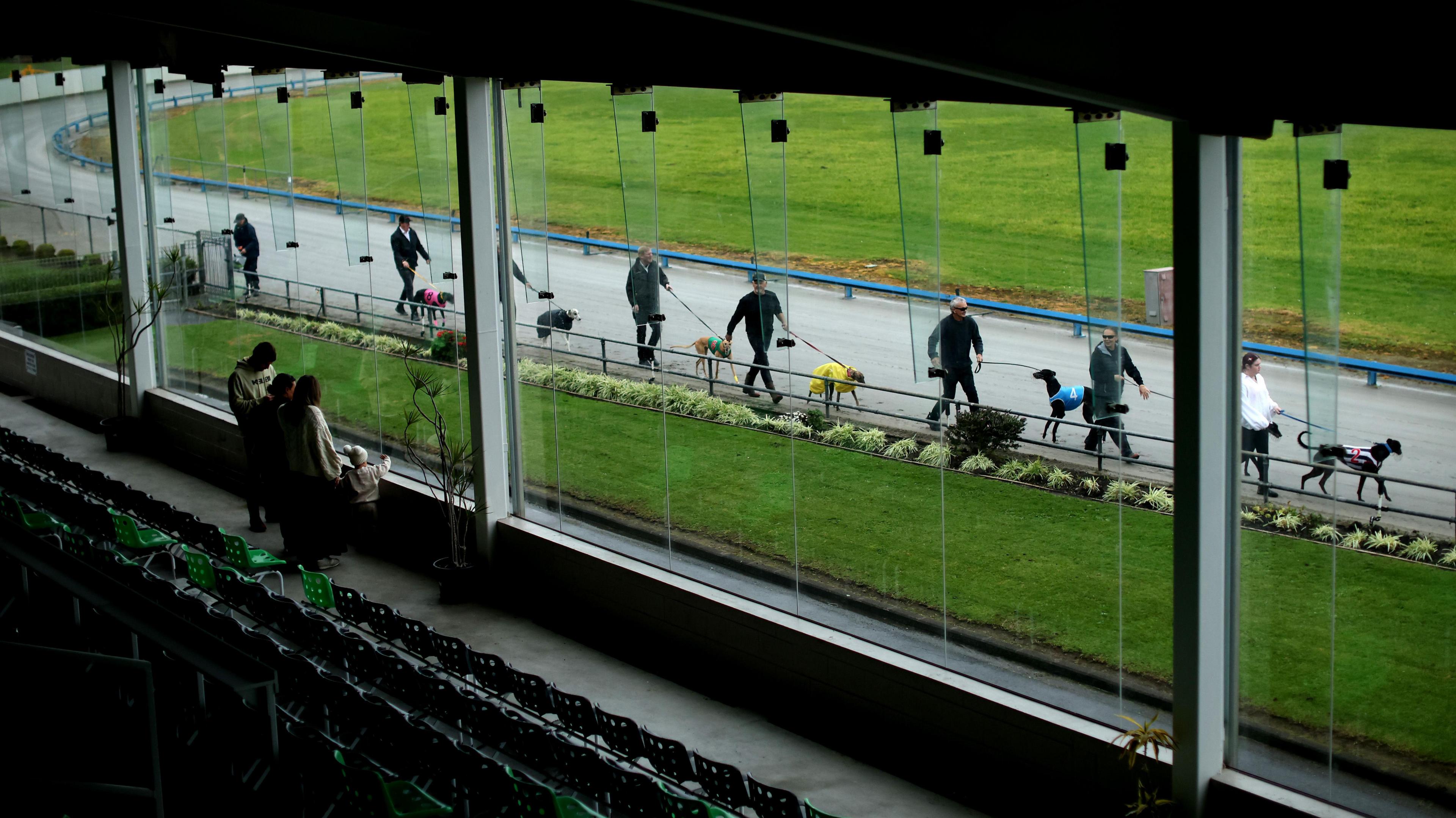 Image caption,Owners gathered at Manukau Stadium, Auckland, for one of the final meets in June.