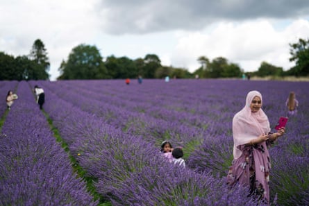 Visitors look at the crops at Warwickshire lavender farm.Photograph: Jacob King/PA