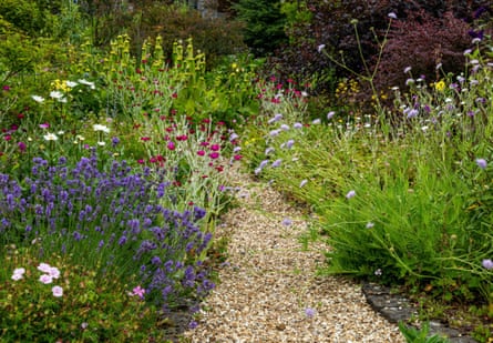 More natural, colourful garden styles are growing in popularity.Photograph: Ros Crosland/Alamy