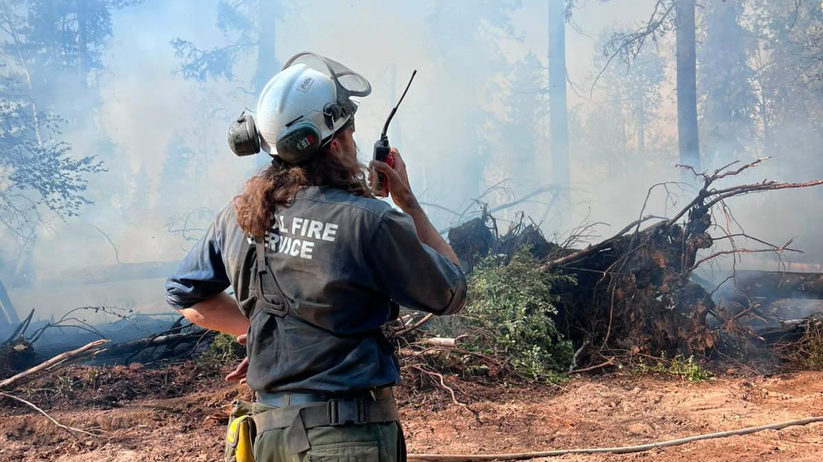 Image caption,Queensland firefighter Damian Hatfield during a deployment in Canada in 2023