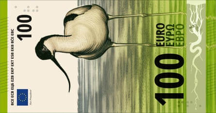 One of Ville Tietäväinen’s designs, featuring an illustration of an avocet.Photograph: ECB