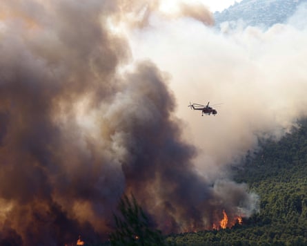 People using olive branches to beat back the flames in the Megara valley, in western Attica, Greece, on Sunday.Photograph: Louisa Gouliamaki/Reuters