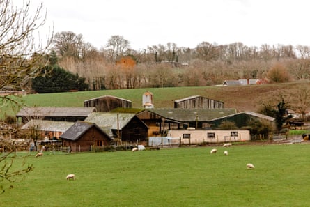 Parsonage Farm, which had three sheep stolen.Photograph: Peter Flude/The Guardian