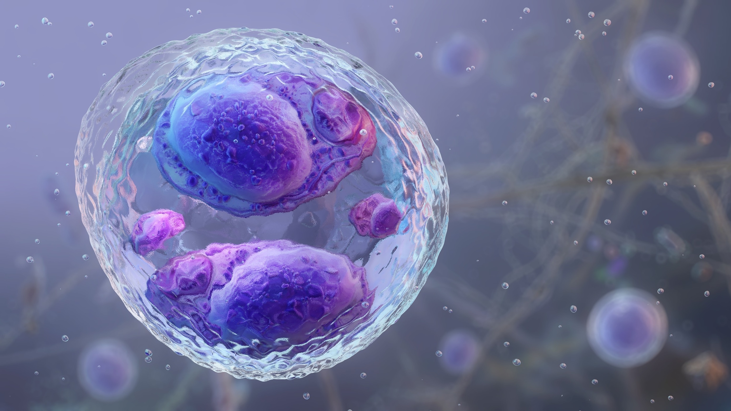 Microscopic view of the Cyclospora cayetanensis oocyst, foodborne parasite taken during laboratory research.Quantic69/Getty Images