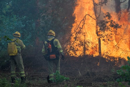 Forest firefighters try to extinguish a wildfire in Sierra do Careon in Palas de Rei, Lugo, Spain.Photograph: Eliseo Trigo/EPA