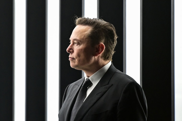 Musk at Tesla's Gigafactory in Grünheide, Germany, in March 2022.Patrick Pleul / AFP via Getty Images file