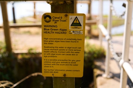 Sign alerting walkers at Earlswood to dangers of blue-green algae.Photograph: Christopher Thomond/The Guardian