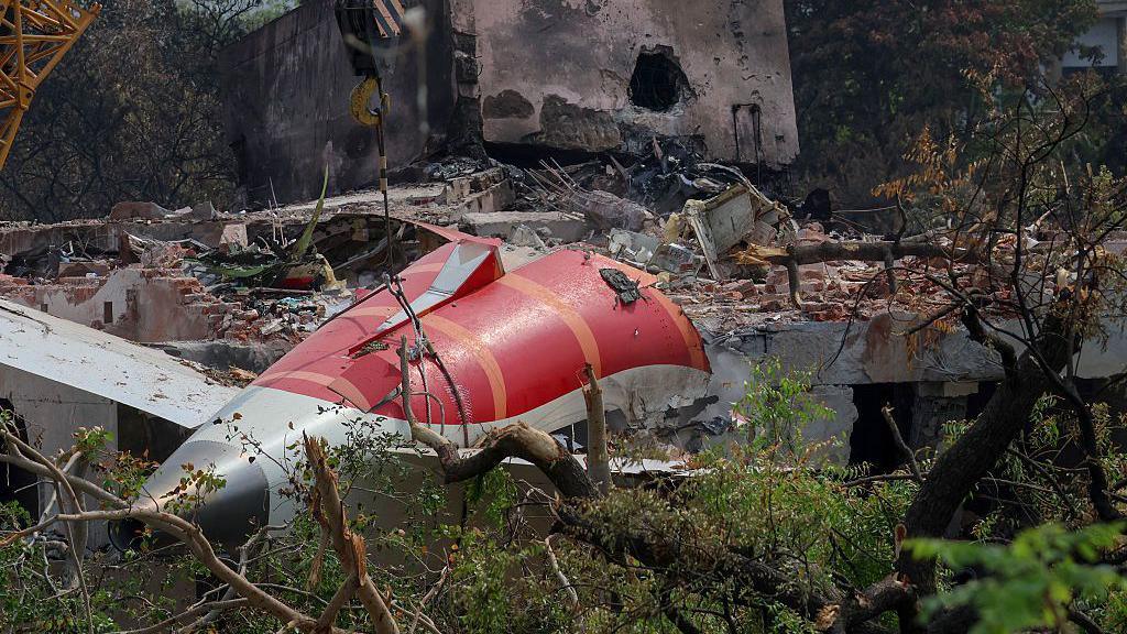 Image caption,Air India is grappling with serious challenges, including the aftermath of last year's deadly crash that killed 260 people