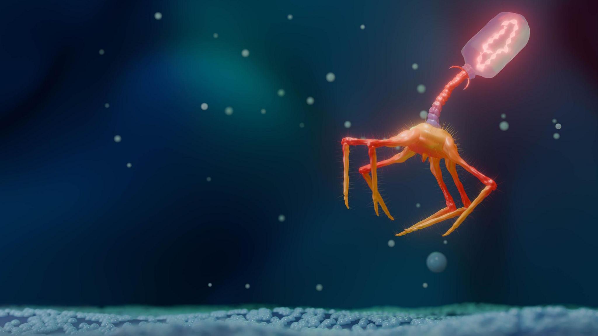 Image caption,Phage therapy is seen as a potential solution to the rising tide of bacterial infections that cannot be treated with antibiotics
