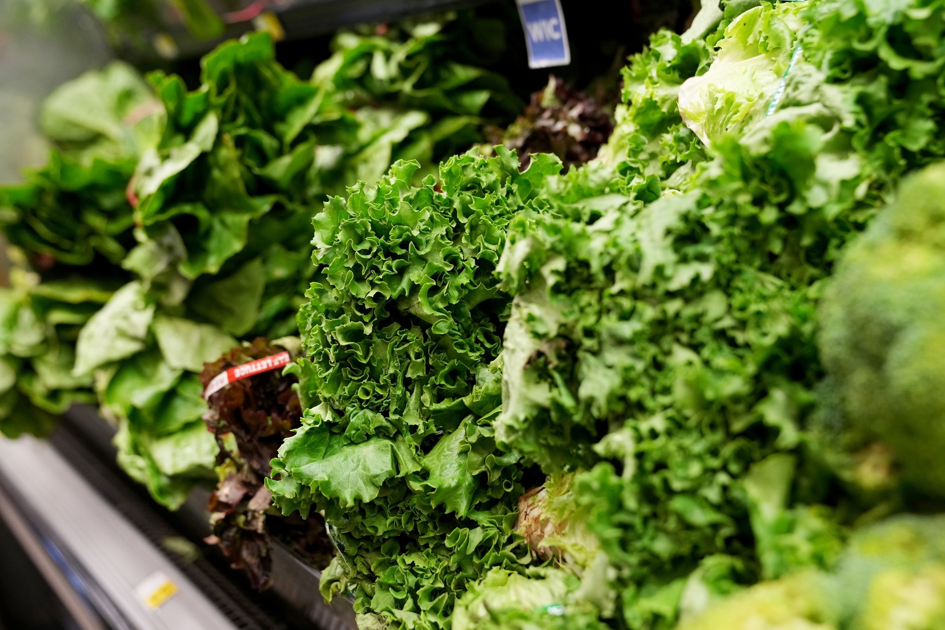 Lettuce is stocked in the produce section at a grocery store chain in Minneapolis, July 31, 2026.Ellen Schmidt/AP Photo