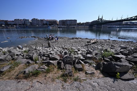 Environmental experts examine part of the Danube riverbed in Budapest on Thursday.Photograph: Attila Kisbenedek/AFP/Getty Images