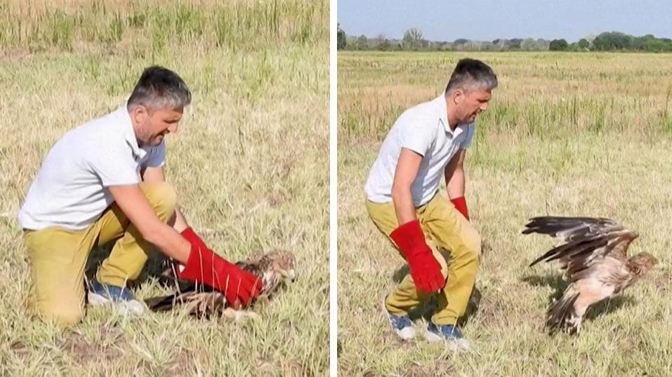 Image caption,Feliks spent months in recovery before he was finally released again