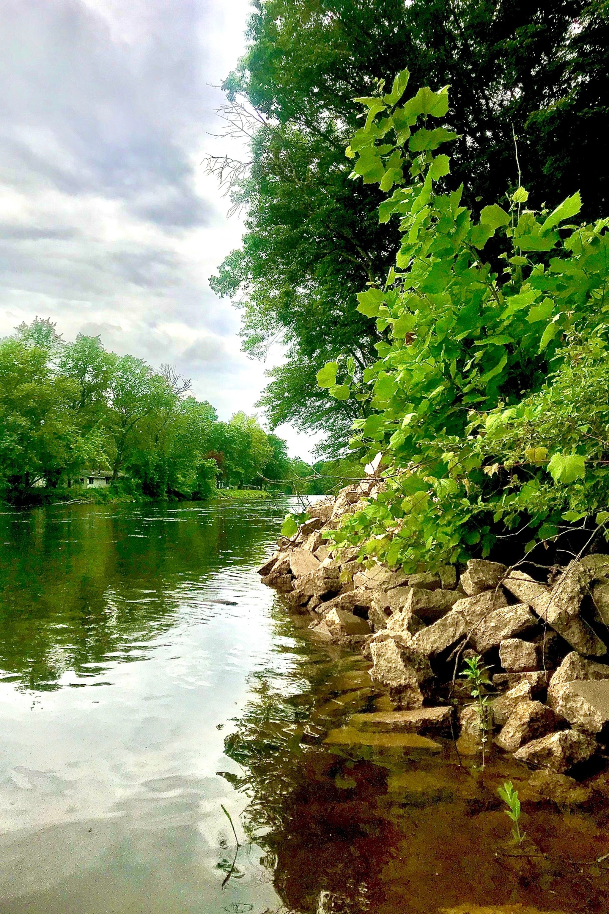 Muskegon River in MichiganAleshia Wood/STOCK PHOTO/Getty Images