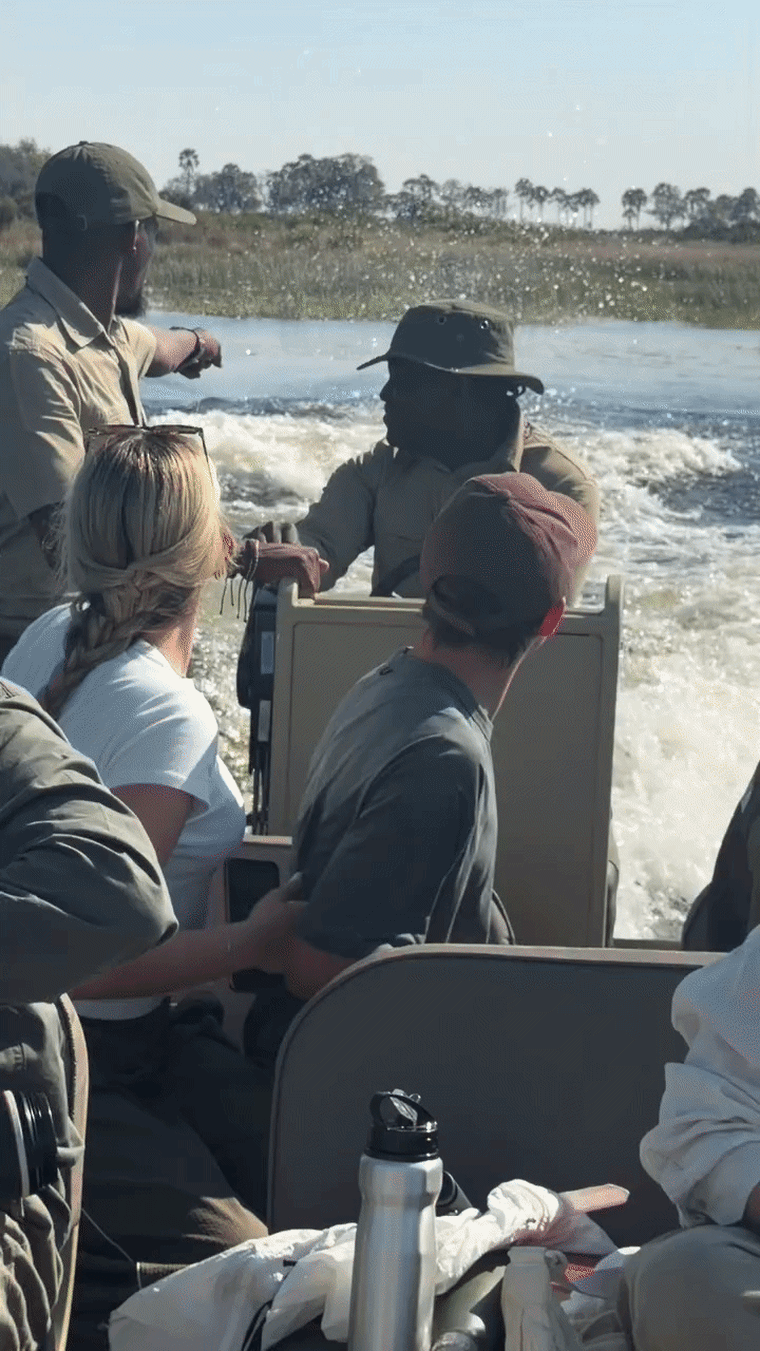 A video shows a hippopotamus jumping in the Okavango Delta in Botwana, on Sunday.Oznur Bell