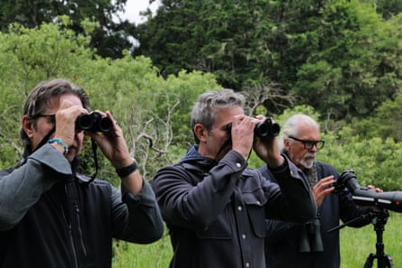 From left to right: Stevenson, Donkin and Hansen, all avid birders, in Marin county, California.Photograph: Nick Czap