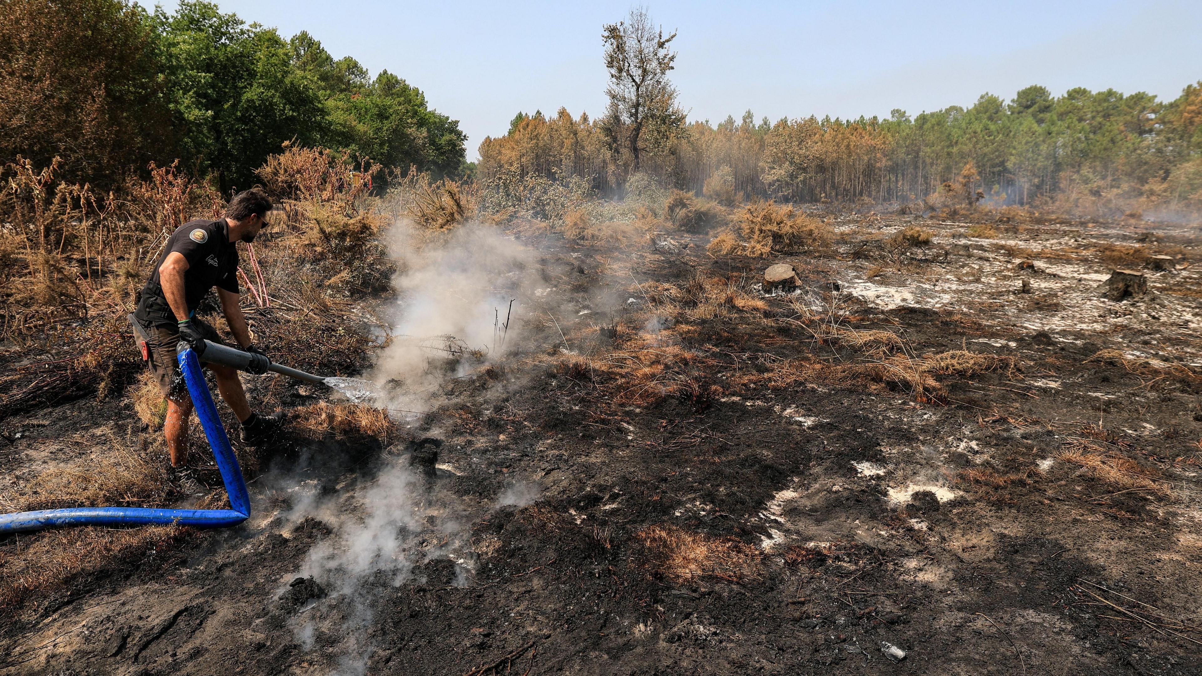 Image caption,French President Emmanuel Macron called the fires "completely unprecedented"
