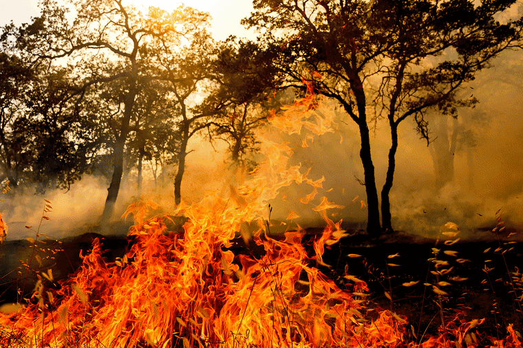 Wildfires are concentrated in the Pacific Northwest.AP; Getty Images