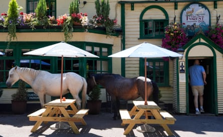 New Forest ponies seek shade at the New Forest Inn on Sunday.Photograph: Andrew Matthews/PA