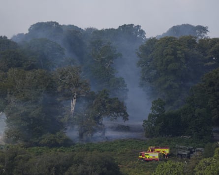 Smoke rises from a heathland blaze in the New Forest near Ringwood.Photograph: Andrew Matthews/PA