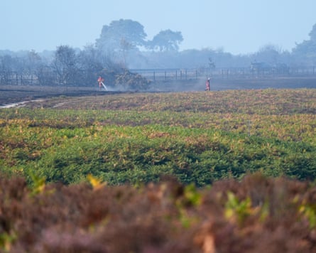 Burnt branches on dry ground.Photograph: Martin Godwin/The Guardian