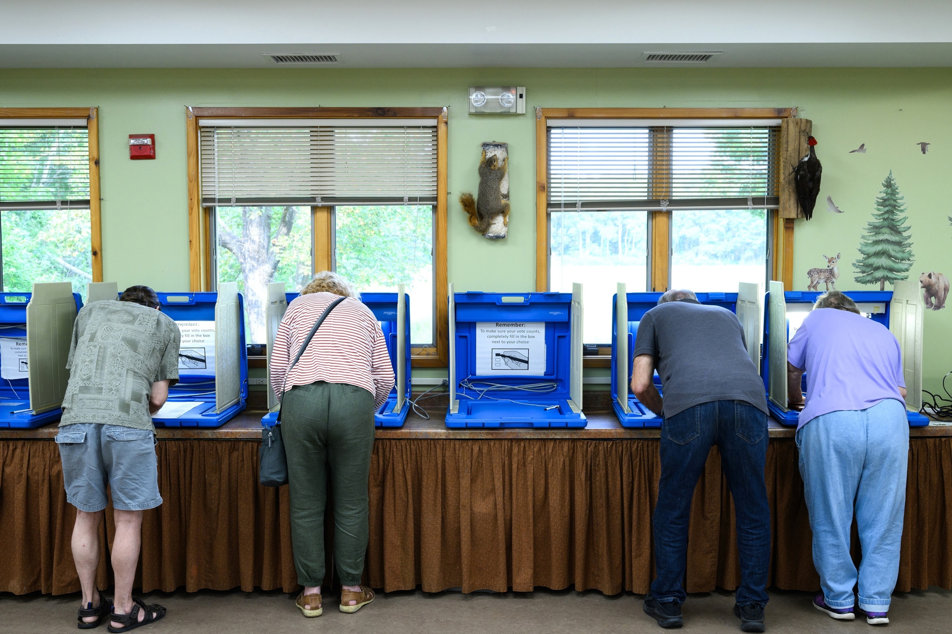 Voters fill out their ballots at a polling place in the Tamarack Nature Center on Aug. 11, 2026, in White Bear Township, Minnesota.Stephen Maturen/Getty Images