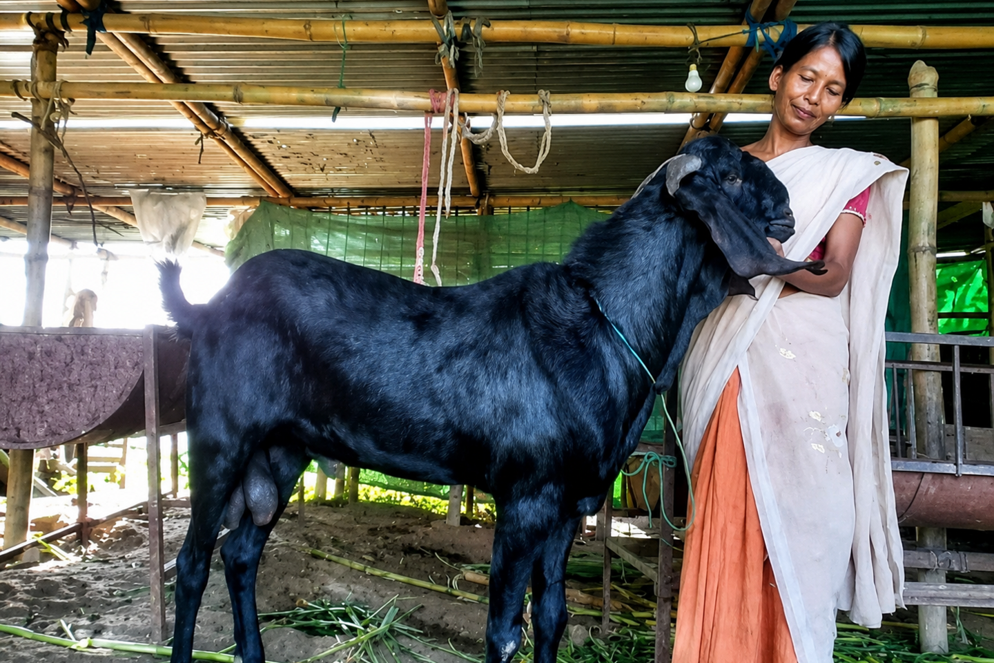 Image caption,Baruah quit journalism to concentrate on animal husbandry