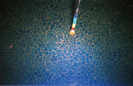A bed of manganese nodules, deep offshore of the Cook Islands.Photograph: USGS