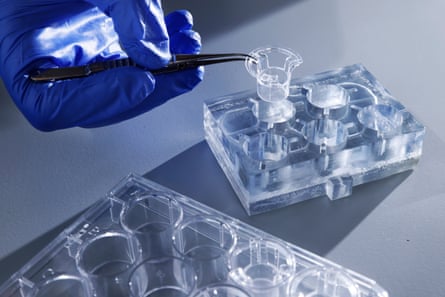 A‘body-on-chip’ devicedeveloped at Queen’s Medical Research Institute, Edinburgh, mimics how a new drug moves through the human body.Photograph: Murdo MacLeod/The Guardian