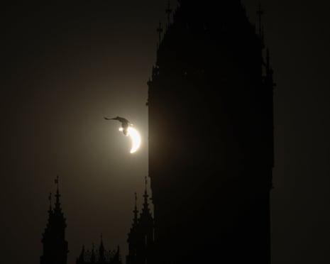 A bird flies past the Palace of Westminster and Big Ben as a near total solar eclipse in London.Photograph: Toby Shepheard/AFP/Getty Images