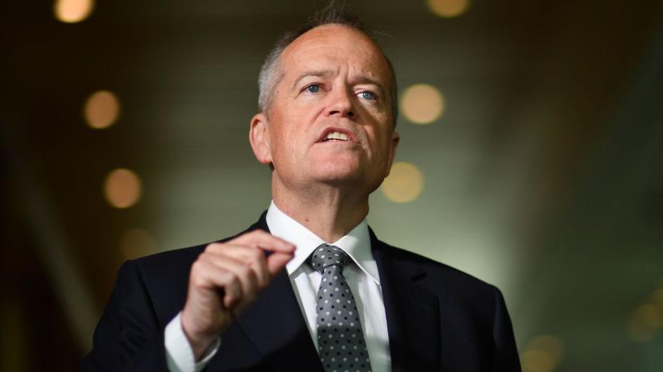 Image caption,Bill Shorten played a key role in setting up the NDIS