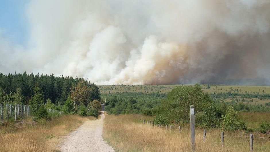 Image caption,The aftermath of the fire in a scorched area of the nature park, pictured on Saturday