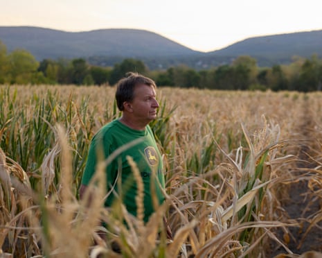 István Somogyi has lost nearly 50% of his harvest this year