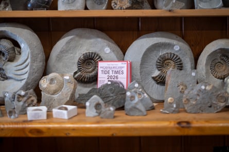 Fossil samples on sale at a shop near Charmouth Beach in Dorset.Photograph: Jim Wileman/The Guardian