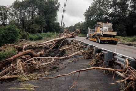 A tree toppled by tropical storm Lala’s heavy winds rests on a house in Mountain View, Hawaii, on 16 August 2026.Photograph: Jill K Briggs/AFP/Getty Images