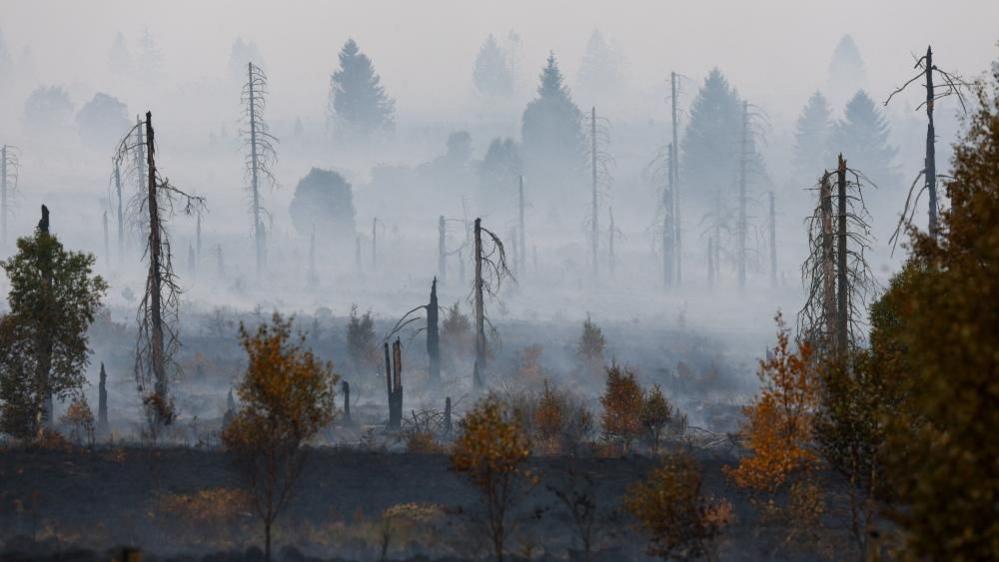 Image caption,Resources from other EU countries have been sent to assist firefighting efforts in Belgium
