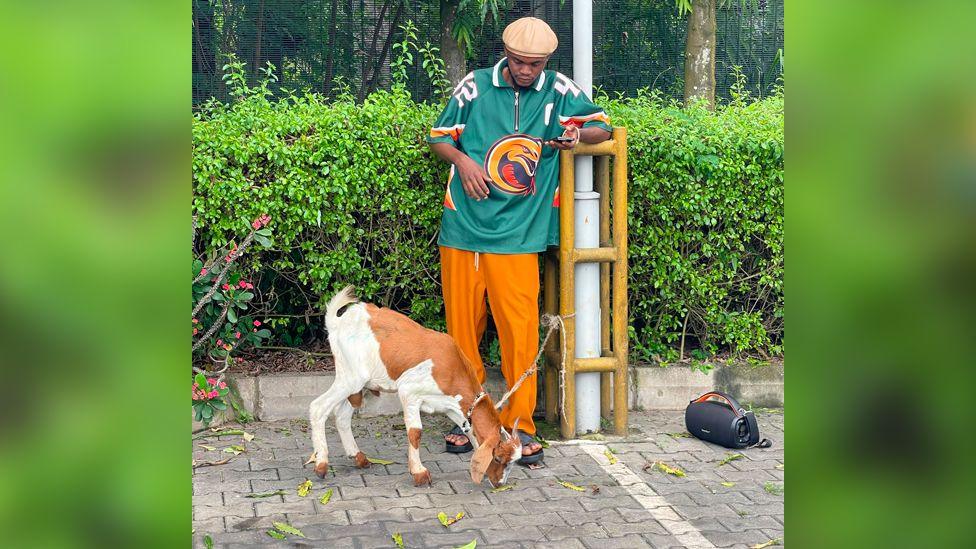 Image caption,The goat has now become something of a celebrity
