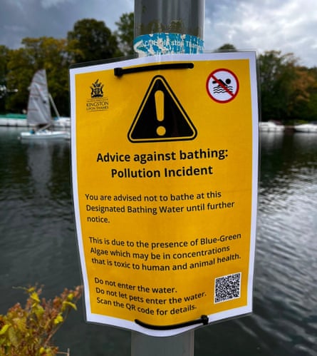 The sign at the official Thames bathing spot in Ham on Wednesday.Photograph: Sandra Laville/The Guardian