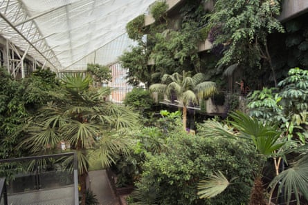 The conservatory refurbishment is part of the wider Barbican renewal programme, a £231 million renovation of the site.Photograph: Sarah Lee/The Guardian