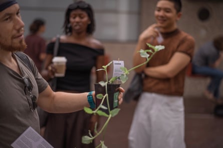 Five hundred people turned up to choose a plant cutting at the first event.Photograph: Sarah Lee/The Guardian