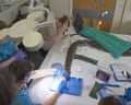 Jodie Foster the python receives cancer treatment