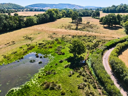 The Holnicote intervention involved ‘creating natural sponges in the landscape’, said the project manager, Ben Eardley.Photograph: Steve Sayers/National Trust Images