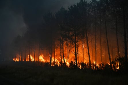 Pine trees burn near Marcheprime outside Bordeaux on 26 July.Photograph: Emma Da Silva/AP