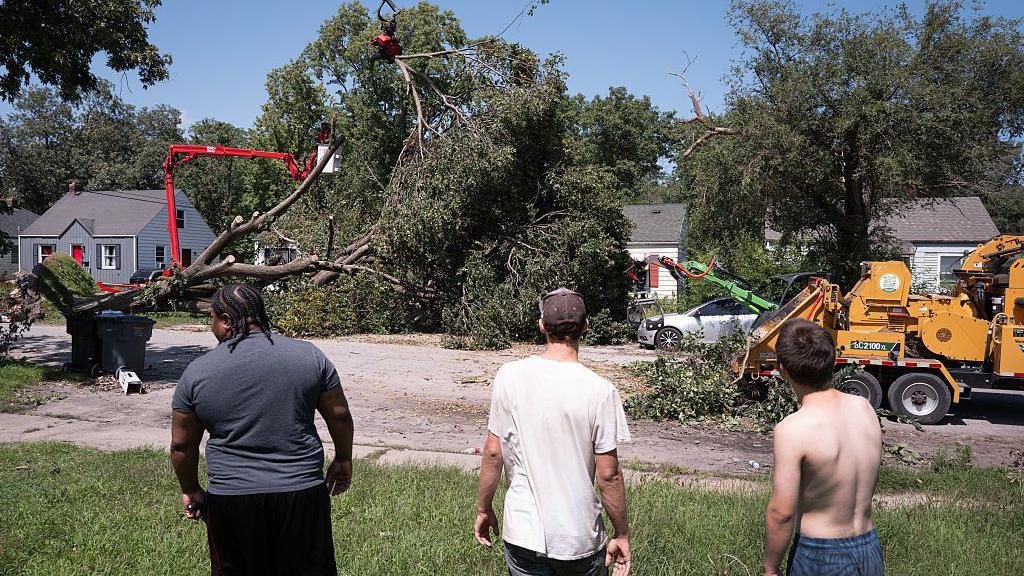 Image caption,Toppled trees are being removed after the storm